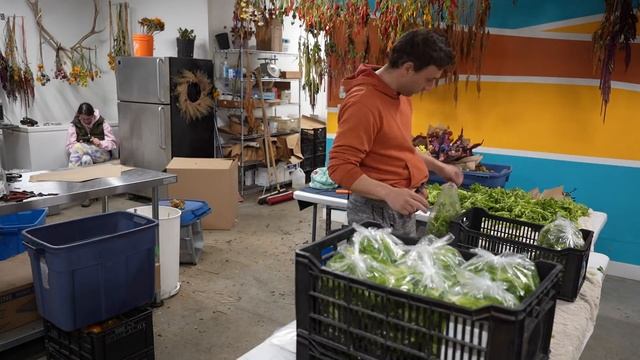 Flowers After A Freeze Save This Fall Market Day смотреть онлайн