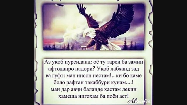 Насихати Укоб