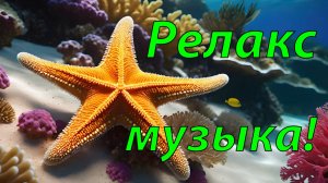 🐠 УСПОКАИВАЮЩАЯ МУЗЫКА ДЛЯ СНА И УДИВИТЕЛЬНЫЙ ПОДВОДНЫЙ МИР! 🎵 АНТИСТРЕСС МУЗЫКА ДЛЯ ДУШИ!