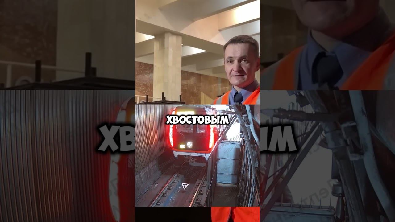 Пассажир проник в тоннель метро! @PROMETRO #shorts #машинистметро #владимирконнов #тоннель