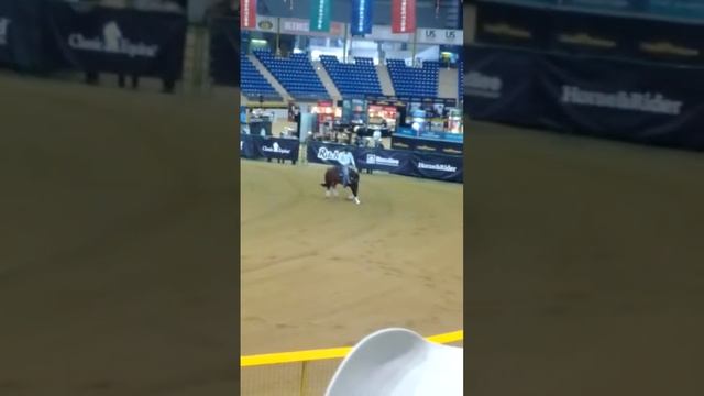 Clinton Anderson riding his horse Diez смотреть онлайн