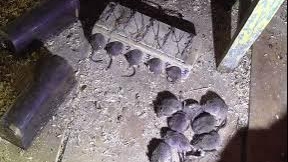 Сотня мышей попадаются, мышеловка удавка и живоловушка... смотреть онлайн