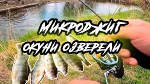 Микроджиг. Ловля окуня. Fish Season Fario 0.5-5g.