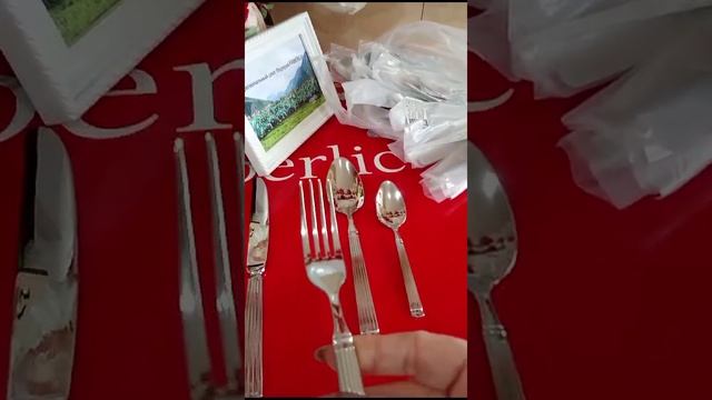 VID_20241212_110450_627.mp4