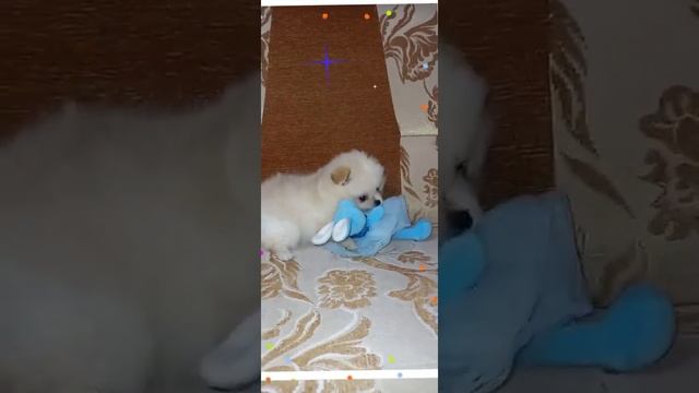 Подарок внучке на день рождения. Поздравляю.