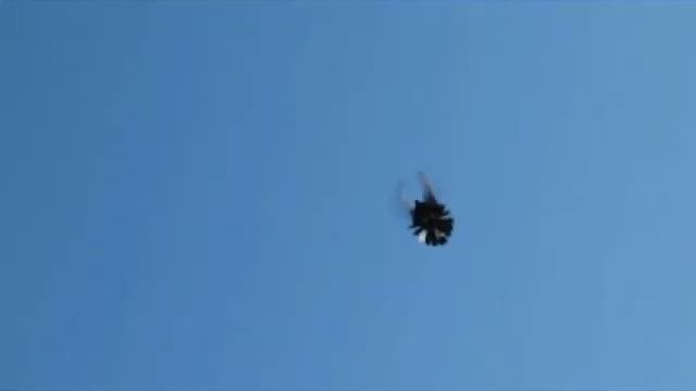 Ждановские высоколётные