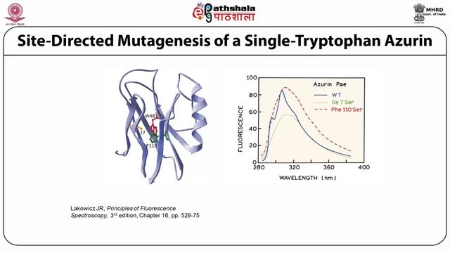M-15. Fluorescence spectroscopy of proteins and nucleic acids смотреть онлайн