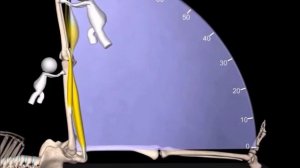 Тест Ласега