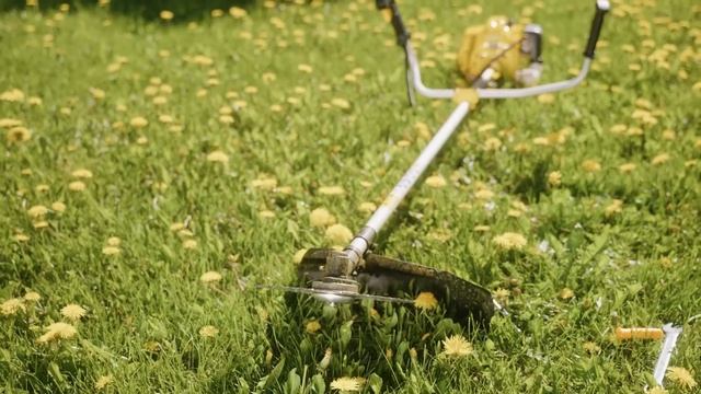 Триммер бензиновый HUTER GGT 2500T 70/2/14 смотреть онлайн