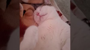 Вася на отдыхе