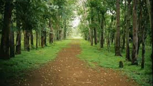 If You Were Here - by Per-Olov Kindgren смотреть онлайн