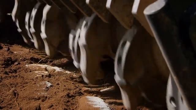 FAE Превосходство в деталях смотреть онлайн