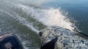 Прогулка по Боровским просторам