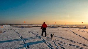 ПЕРЕСТАВИЛИ ЖЕРЛИЦЫ В ЛИМАНЫ И  ДОБЫЛИ СВОЮ РЫБУ | ЗИМНЯЯ ЛОВЛЯ ЩУКИ НА ФЛАЖКИ 2023