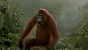 Абизяна нереально флексит