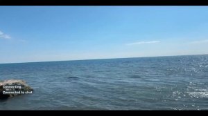 В день