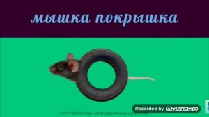 Мышка Сосиска, крыска Ириска, кот Бутерброд, Авакадо Бегемод, мышка Покрышка, кошка Картошка