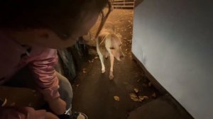 МАФАНЯ КАША БРАМО ИРЛ СТРИМ ИЗ ИТАЛИИ