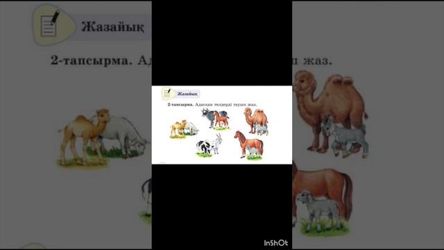 Қазақ тілі 2 сынып. Төлдер. Казахский язык для русских школ. 2-тапсырма #қазақтілі #казахскийязык
