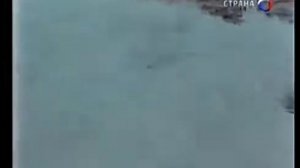 Ка 25 Боевой вертолёт ВМФ Самые лучшие вертолёты мира Оружие ХХ века
