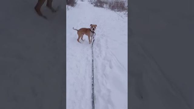 rutube.ru