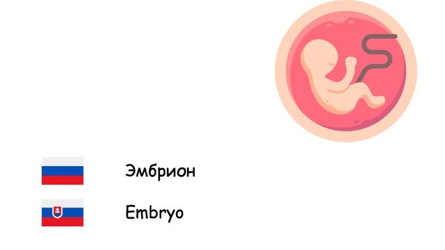 Биология (Словацкий язык) (ru-sk) смотреть онлайн