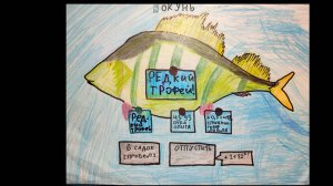 РР4 река Северский Донец поплавок+фидер. Чехонь,краснопёрка.