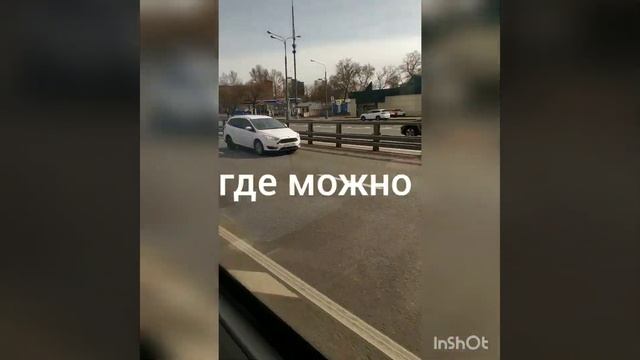 Москва. Мася катается на автобусе😉🐕👍#всемдобра #люблюсвоюсобаку #моясобака #москва #транспорт