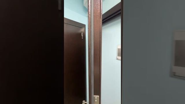 Гарда 8мм Рустикальный дуб