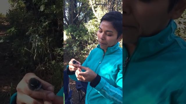 Collecting bird poo for seed dispersal research! смотреть онлайн