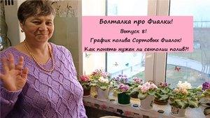 Болталка про Фиалки! Выпуск 8: График полива Сортовых Фиалок! Как понять нужен ли сенполии полив?!