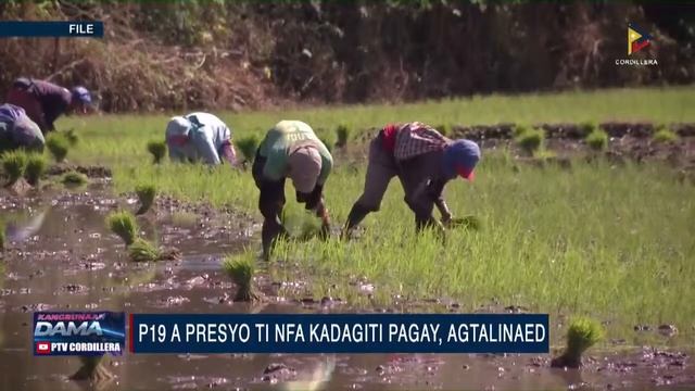 ITAN: Dagiti nababara a damdamag a sagot kadakayo ti Kangrunaan a Damag Newscast | October 13, 2020 смотреть онлайн