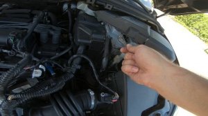 2007 Ford Focus 1.6L (115) Тест-Драйв.