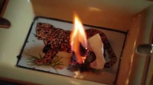 Клятва 1 сезон 45 серия (сериал, 2019)