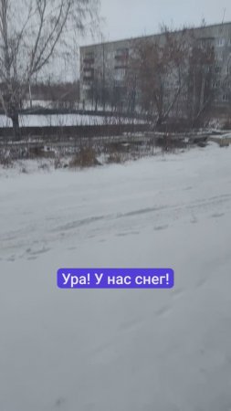 Декабрь постарался: нас снегом завалило