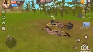 Как заработать быстро монеты в WildCraft? (Мой способ)