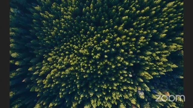 Zoom Meeting frontend Two смотреть онлайн