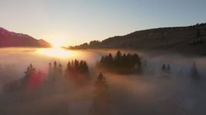 Очень красиво. Кусочки природы с квадрокоптера #путешествия #nature