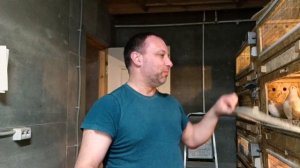 ОТБОР САМЦОВ ДЛЯ МАТЕРИНСКОГО СТАДА