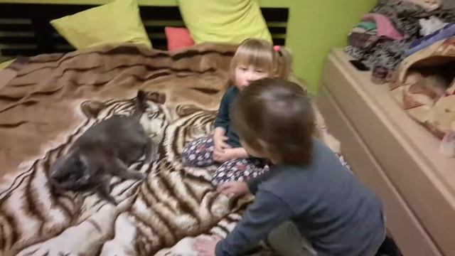 Марк и Милана играют с котиком 05-02-2017 смотреть онлайн