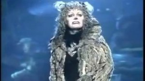 Cats Musical Memory