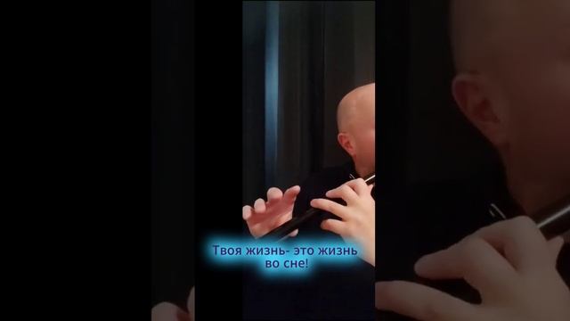 Без иллюзий
