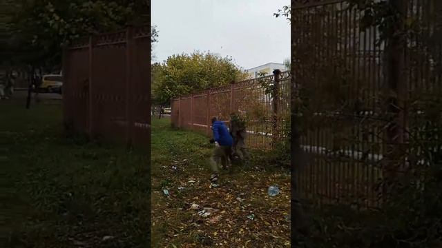 Наши ребята приобретают опыт работы с кинологами #кинологи
