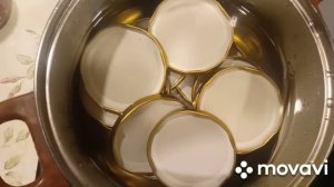 Тушёнка в автоклаве Домашний стандарт.