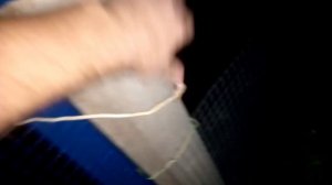 Лёха,пернатый дозор.