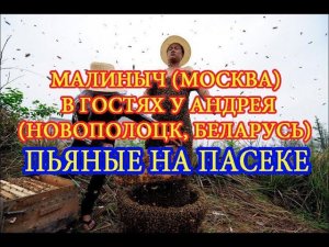 Малиныч (Москва) в гостях у Андрея Маткина. Drunk men climbed into the beehive to the bees