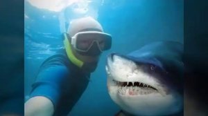 7 селфи с акулами