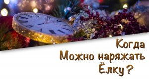 Когда можно ставить ёлку?