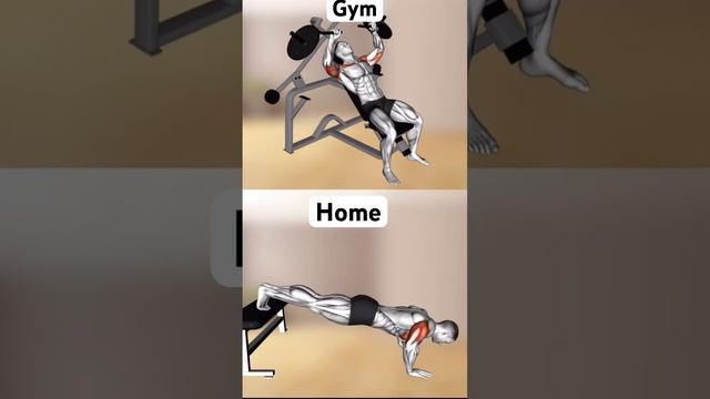 Тренировка все группы мышц. Workout Home&Gym #sport #тренировка #спорт #качаемпресс #workout