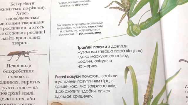 Енциклопедія для дітей. Дивовижні маленькі тварини. Комахи мисливці.